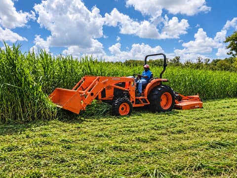 Orange Kubota tractor with a rotary cutter bush-hogging tall grass in Tampa Bay, leaving a cut path beside the uncut field