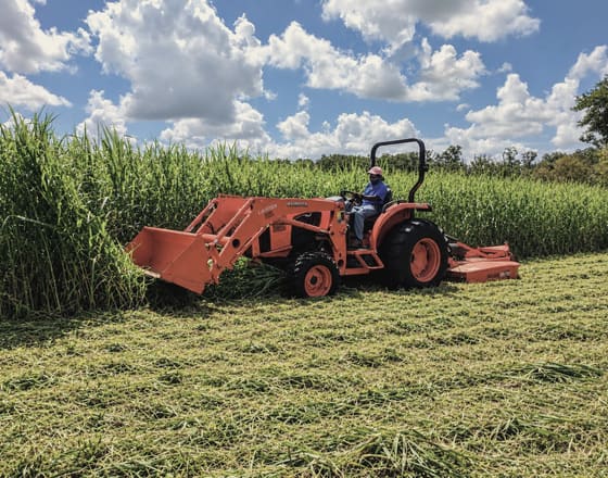 Orange Kubota tractor with a rotary cutter bush-hogging tall grass, leaving a cut path beside the uncut field
