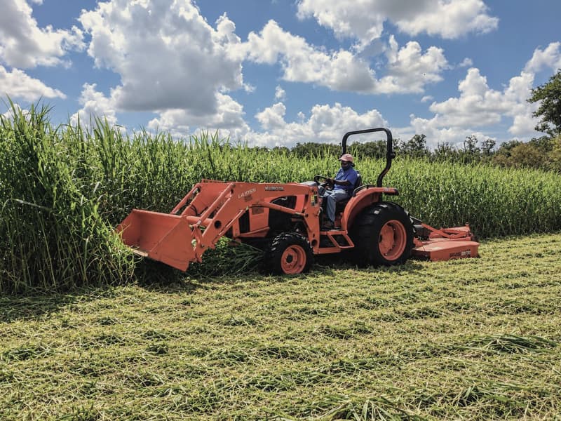 Orange Kubota tractor with a rotary cutter bush-hogging tall grass, leaving a cut path beside the uncut field